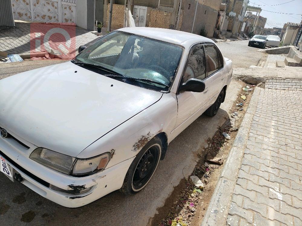 تويوتا كورولا